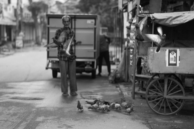 Photograph by Md Afridi Sk