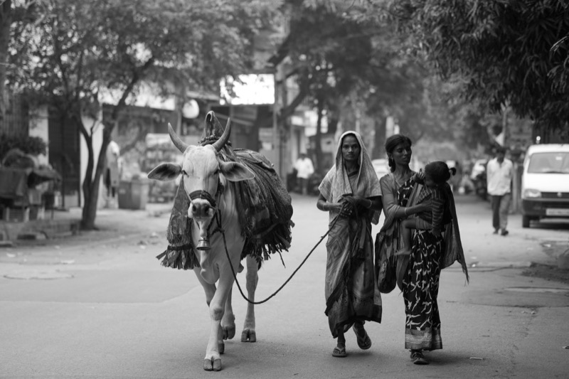 Photograph by Md Afridi Sk